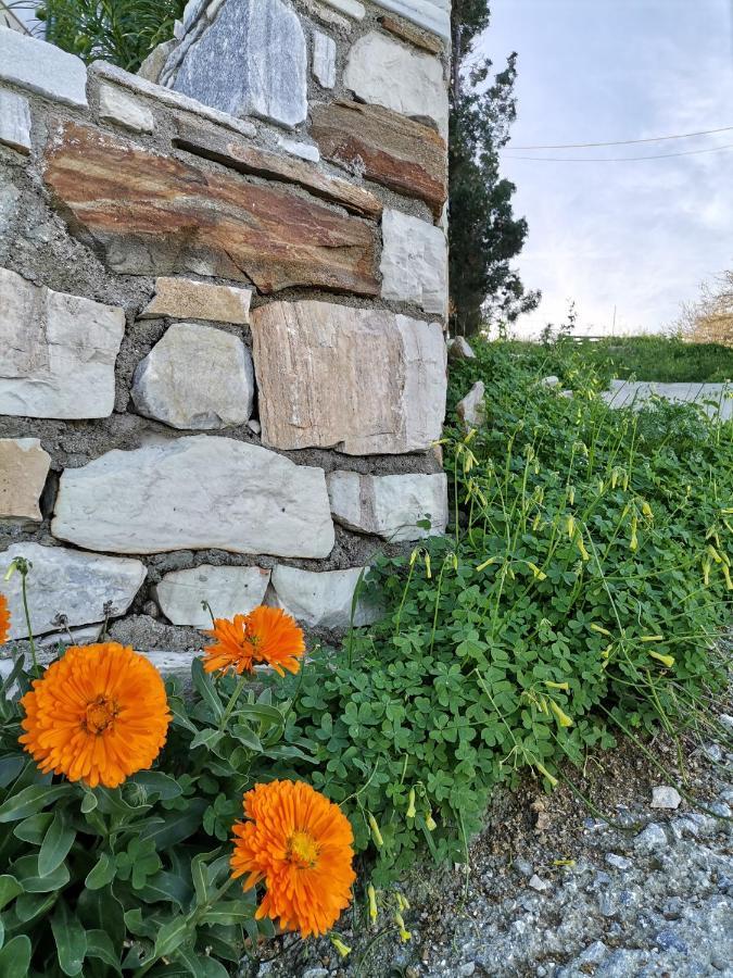 Chez Kiki Et Ioannis Apartment Engaraí Екстериор снимка